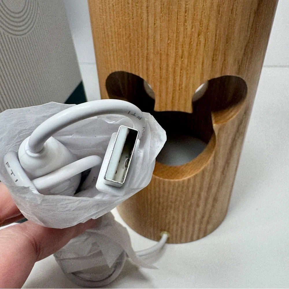 NWT Disney Mickey Mouse Icon Wood Desk Lamp, part of the Mickey Mouse Home decor